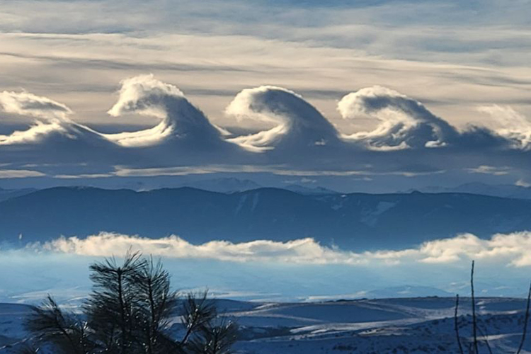 rare wave clouds