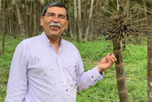Jose Fuentes in a forest.