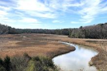 Taskinas Creek